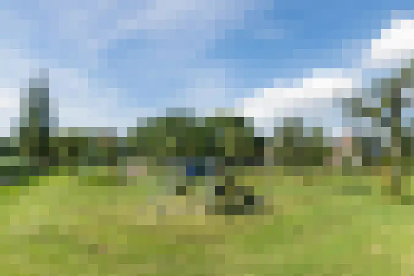 Tulpstraat 63 Culemborg thumbnail 56
