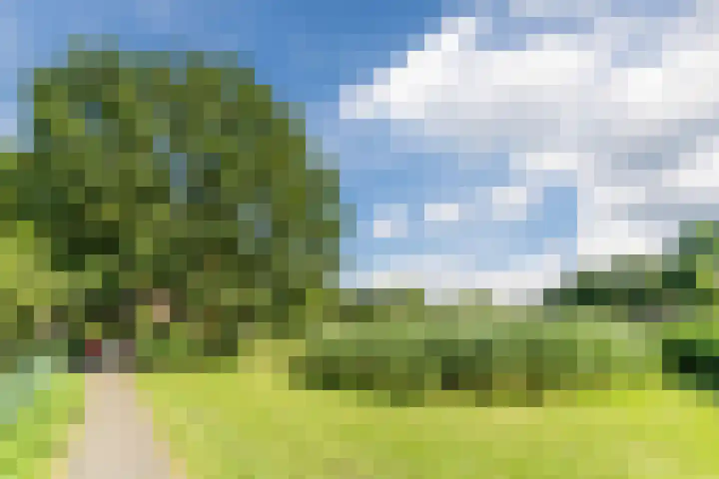 Tulpstraat 63 Culemborg thumbnail 57