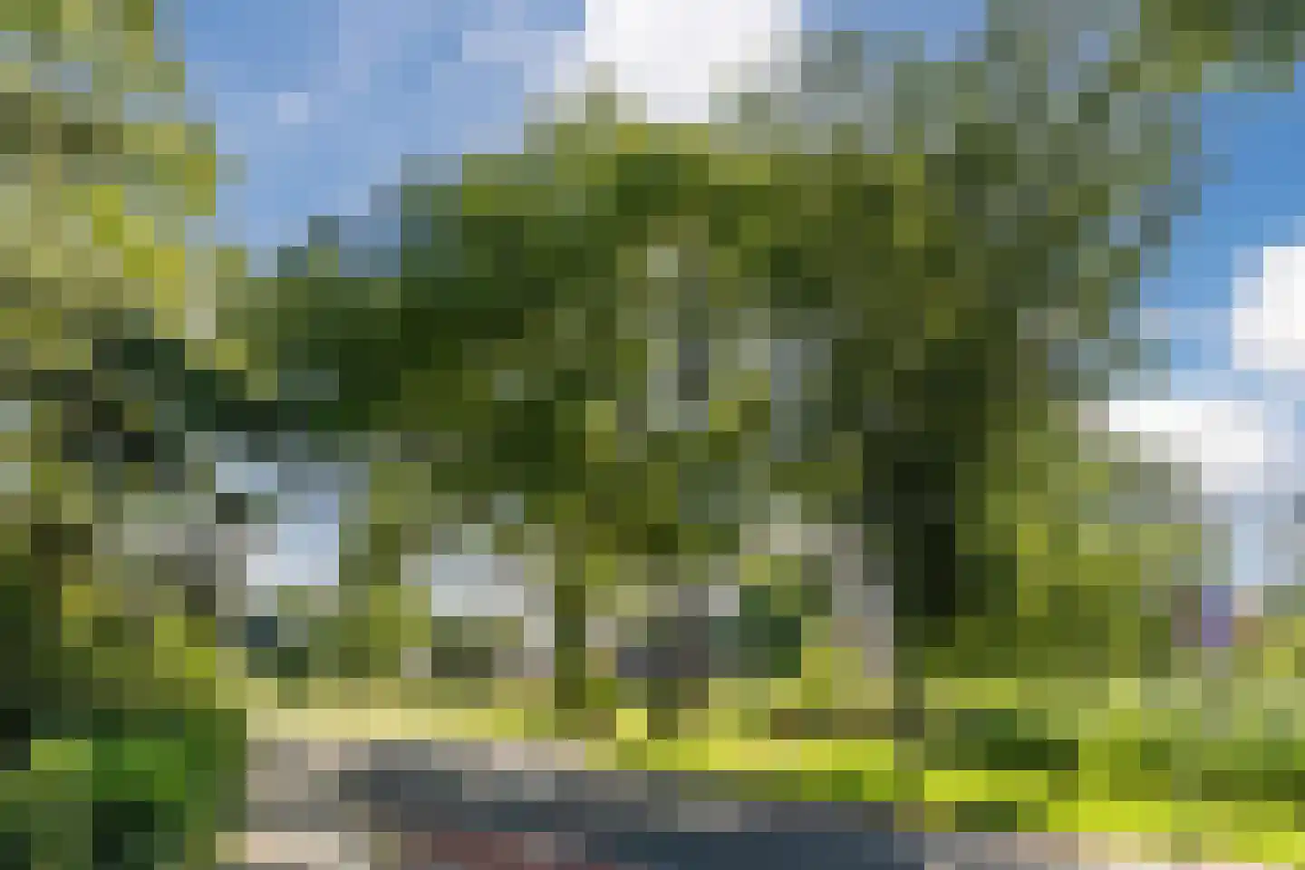 Tulpstraat 63 Culemborg thumbnail 58