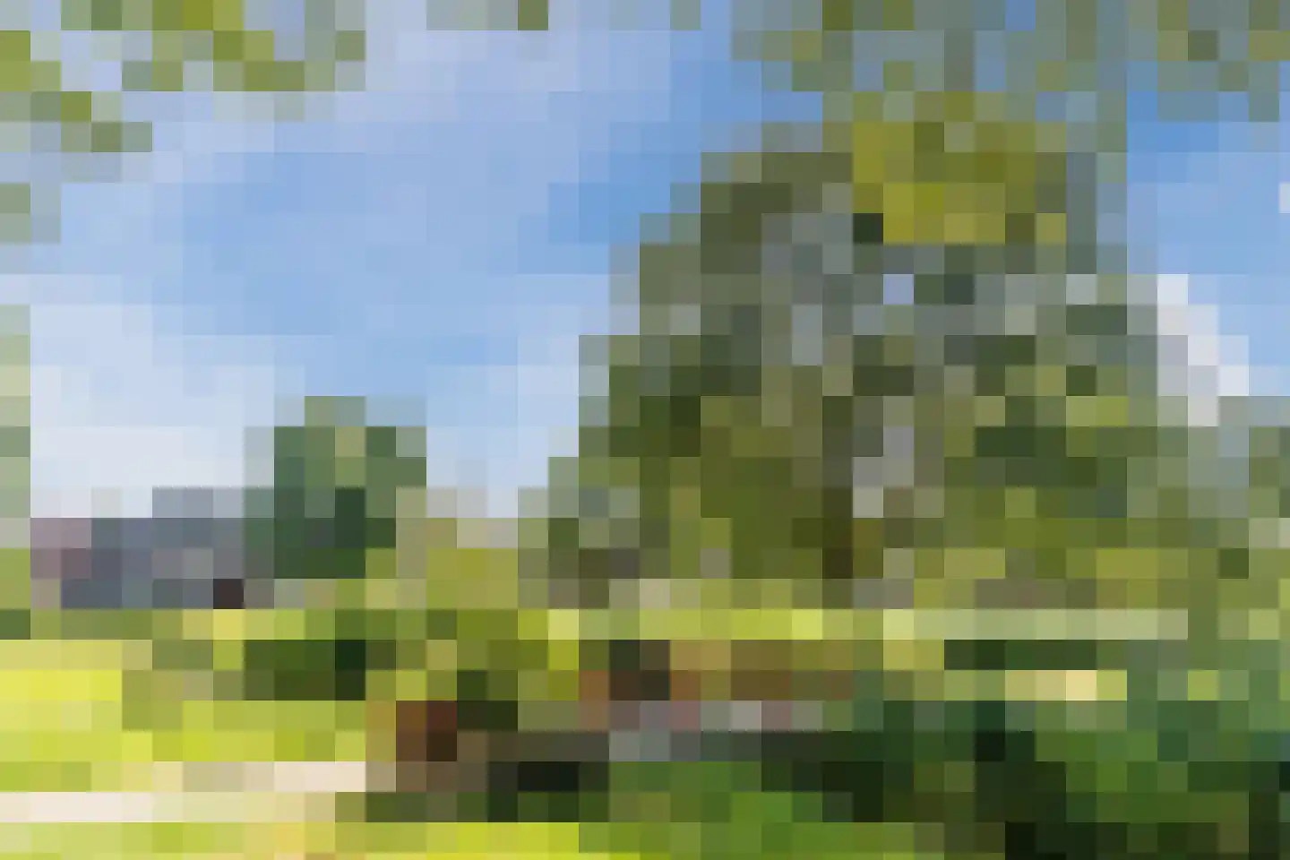 Tulpstraat 63 Culemborg thumbnail 59