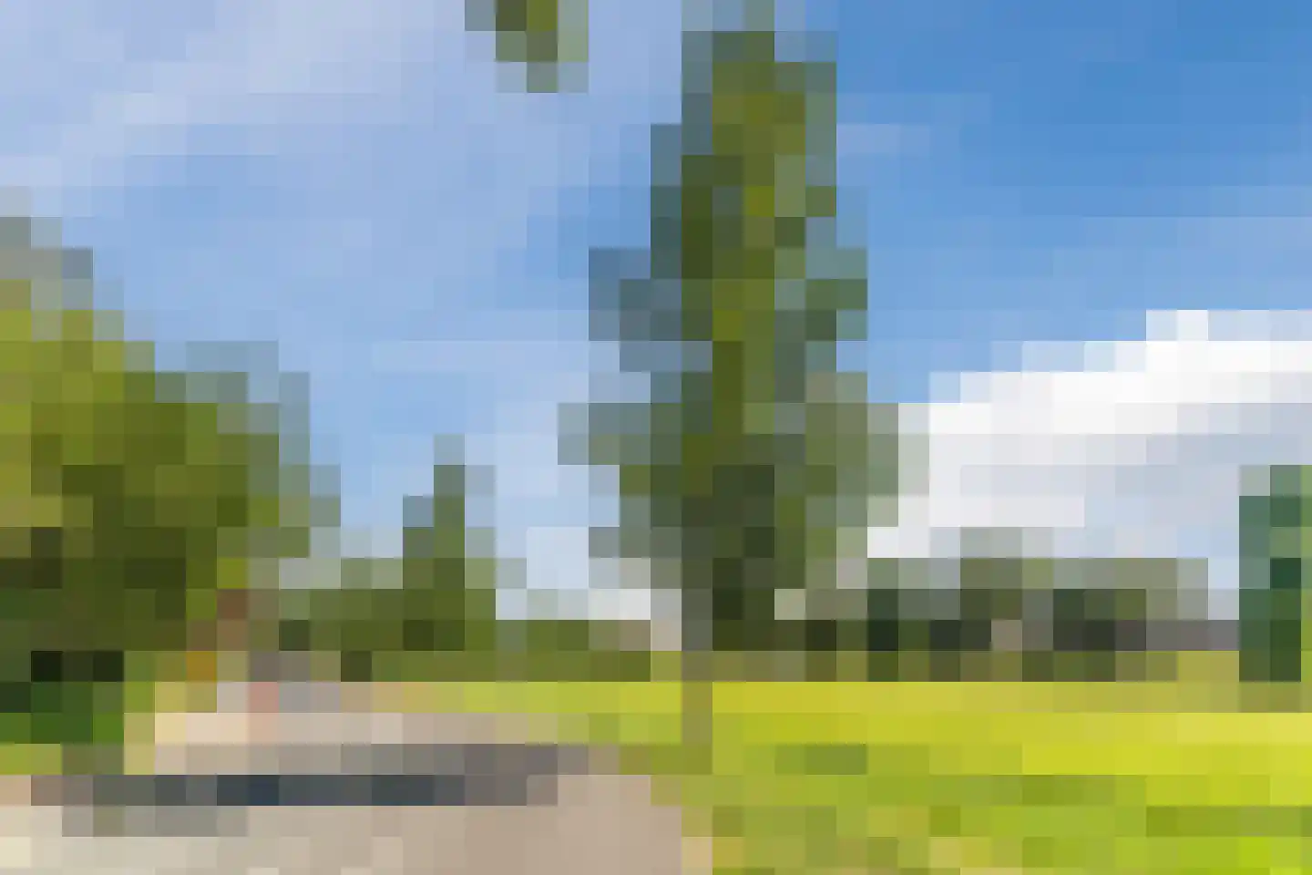 Tulpstraat 63 Culemborg thumbnail 60