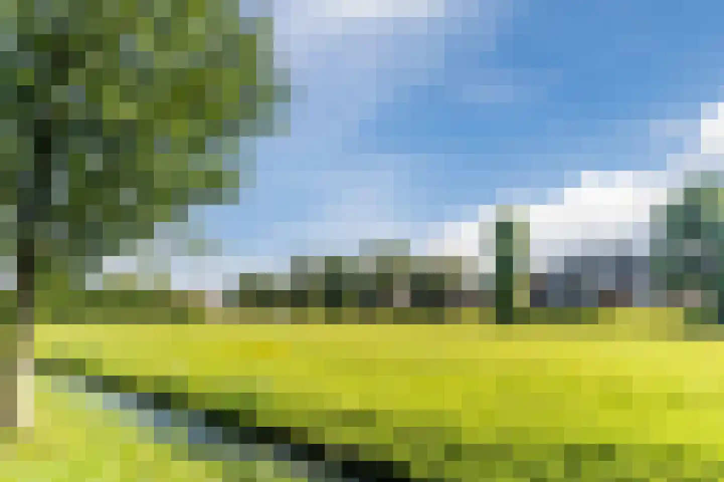 Tulpstraat 63 Culemborg thumbnail 61