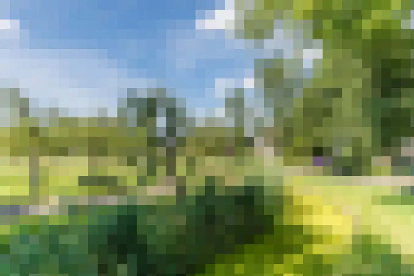 Tulpstraat 63 Culemborg thumbnail 62