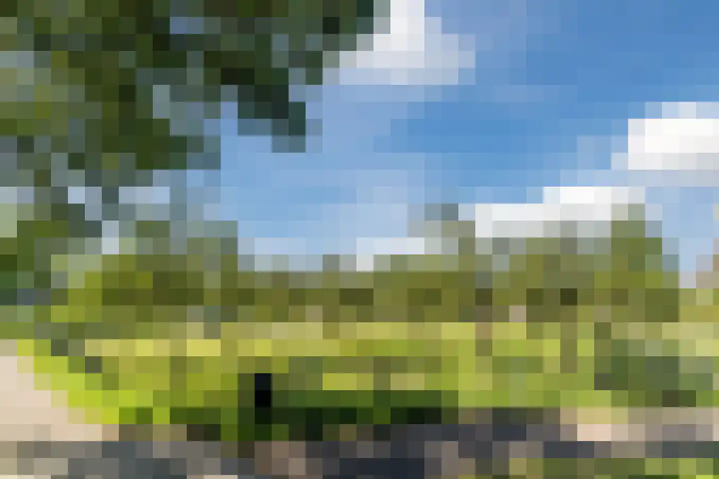 Tulpstraat 63 Culemborg thumbnail 63