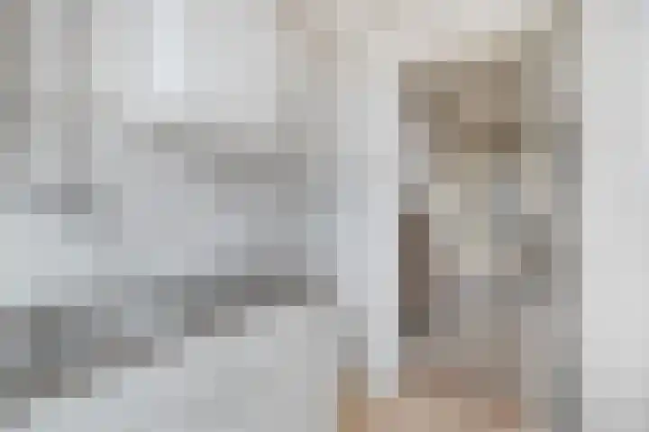 Tulpstraat 65 Losser thumbnail 32