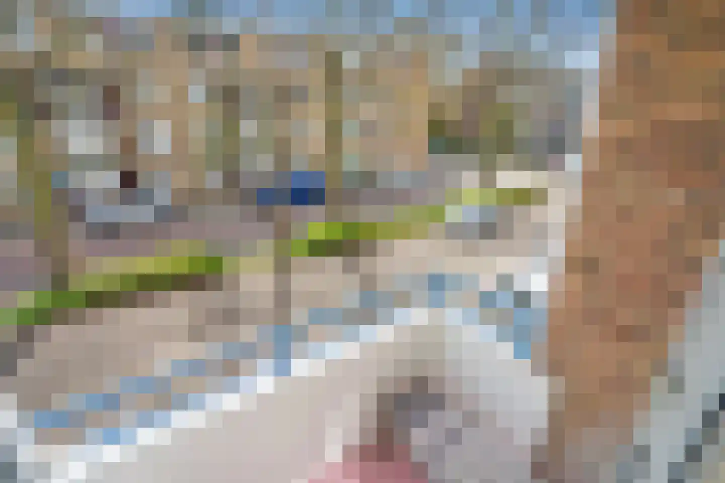 Tulpstraat 7 f Rijswijk thumbnail 4