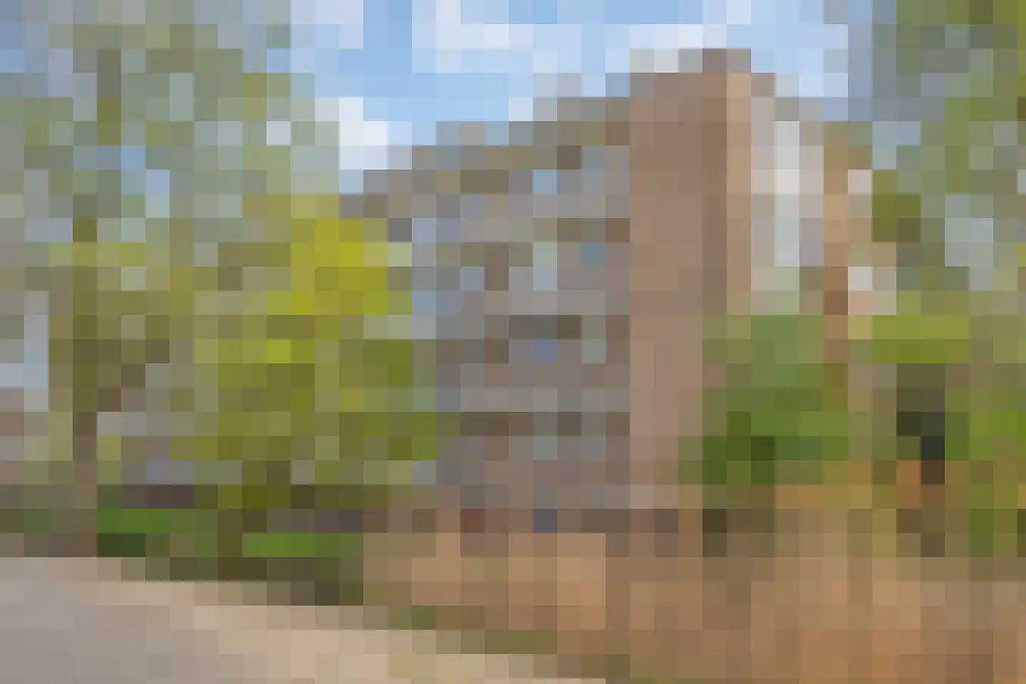 Tulpstraat 7 f Rijswijk thumbnail 5