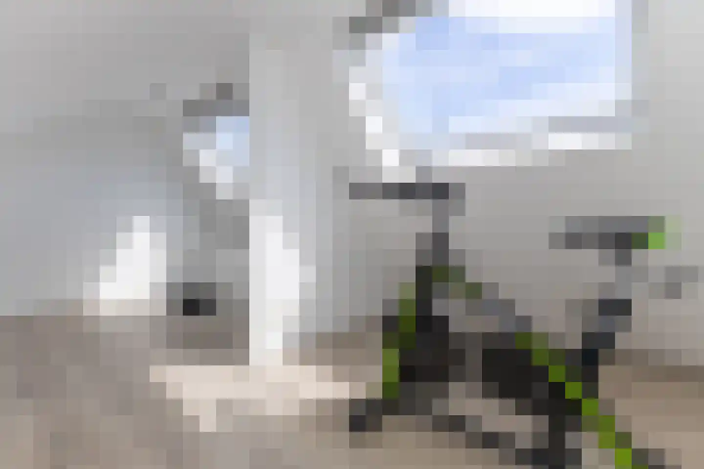 Tulpstraat 7 Hattem thumbnail 24