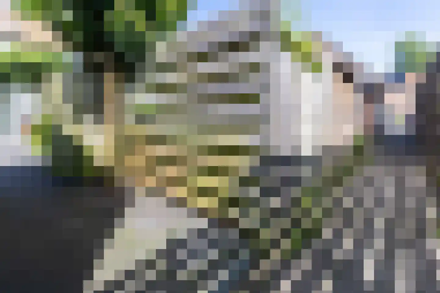 Tulpstraat 7 Hattem thumbnail 25