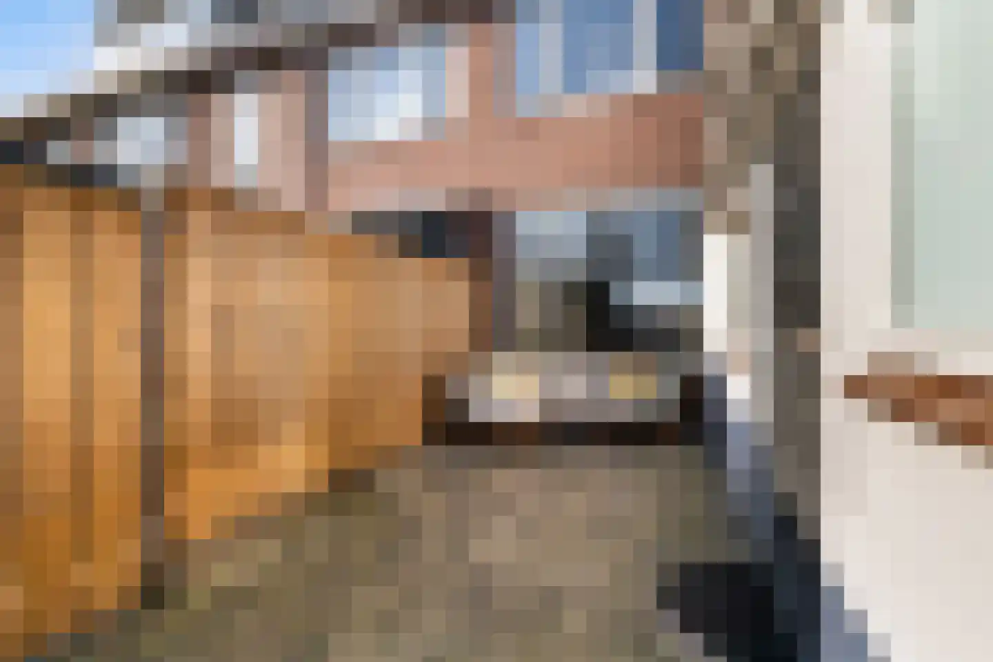 Tulpstraat 7 Woerden thumbnail 25
