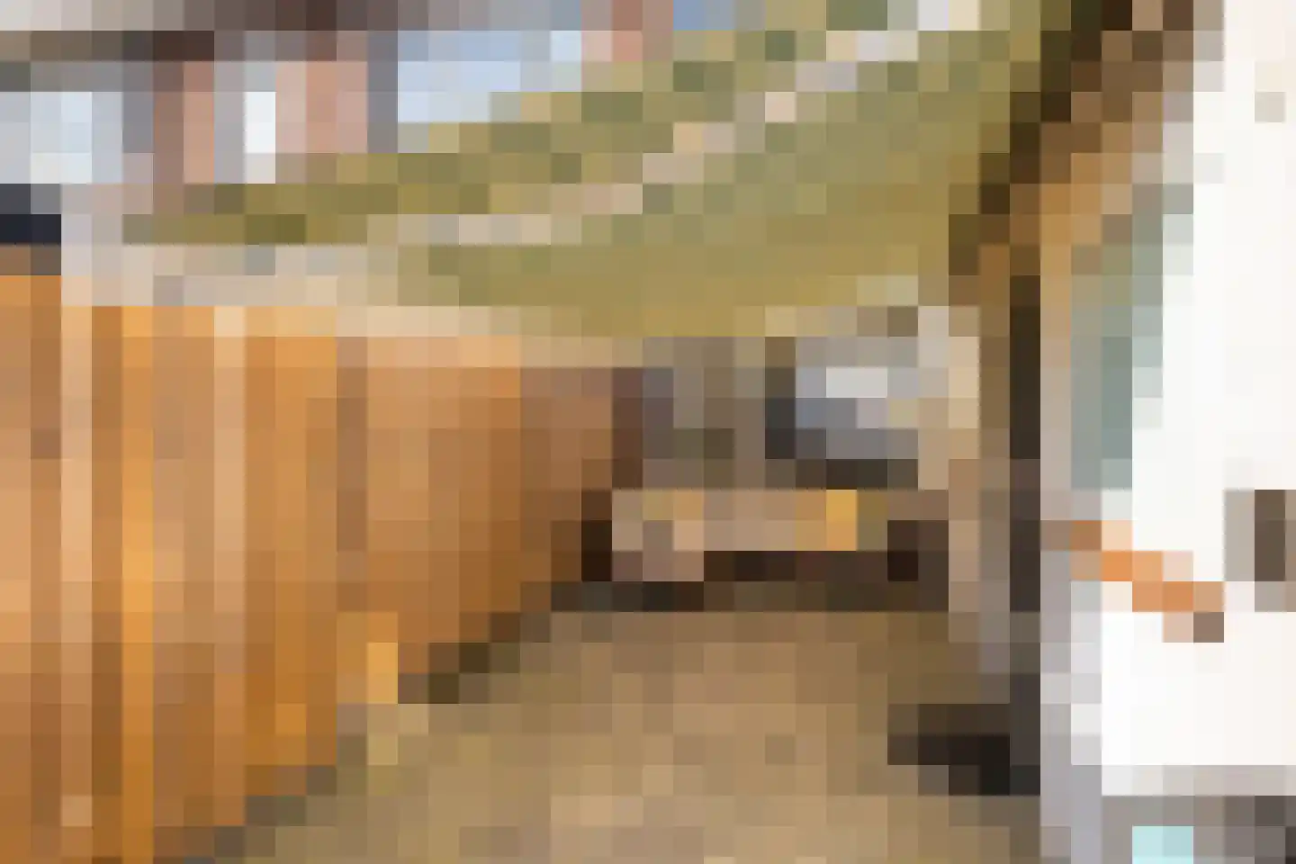 Tulpstraat 7 Woerden thumbnail 28