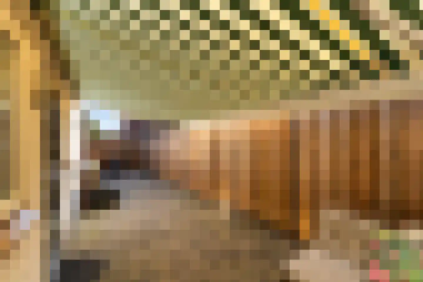 Tulpstraat 7 Woerden thumbnail 29