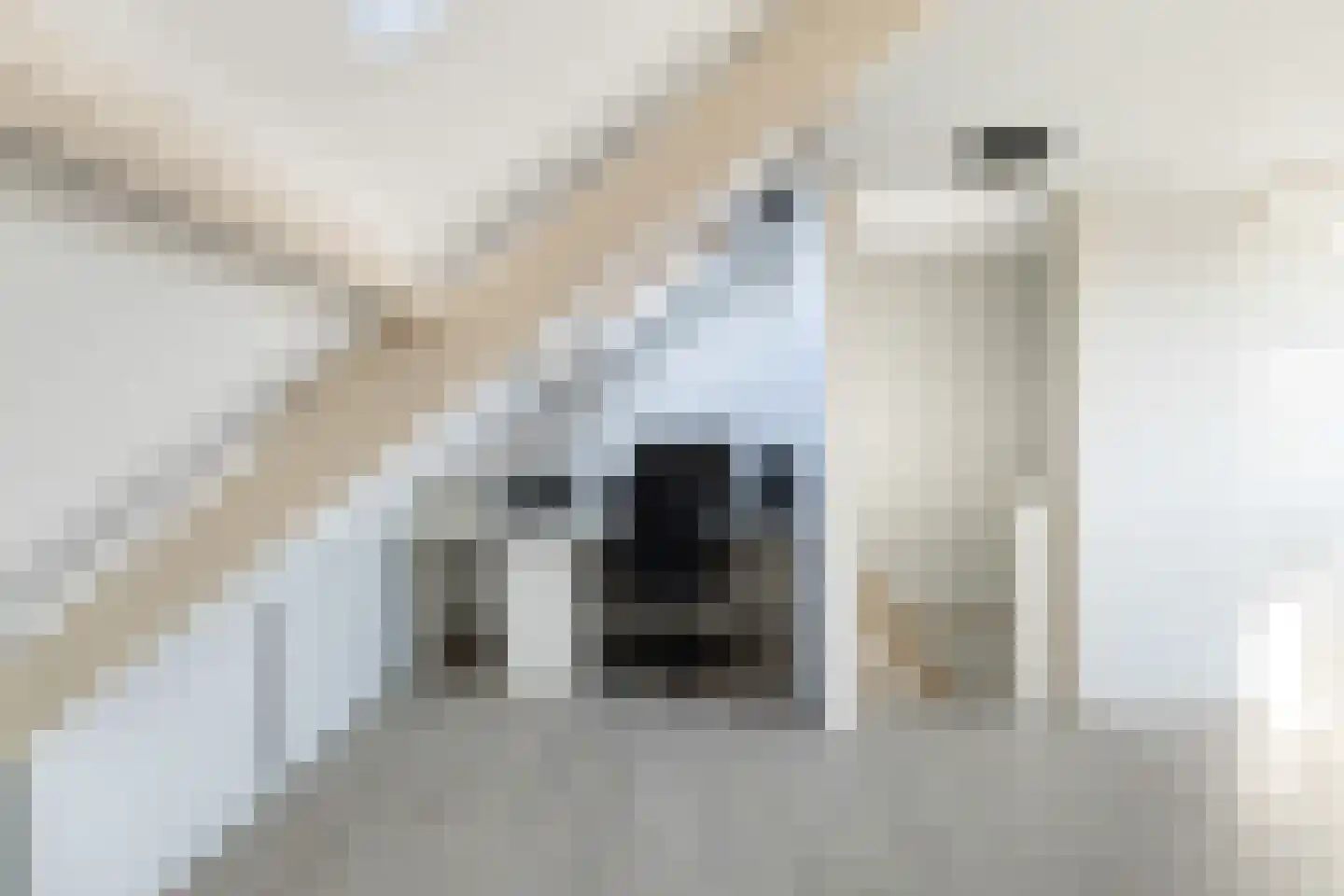 Tulpstraat 7 Woerden thumbnail 47