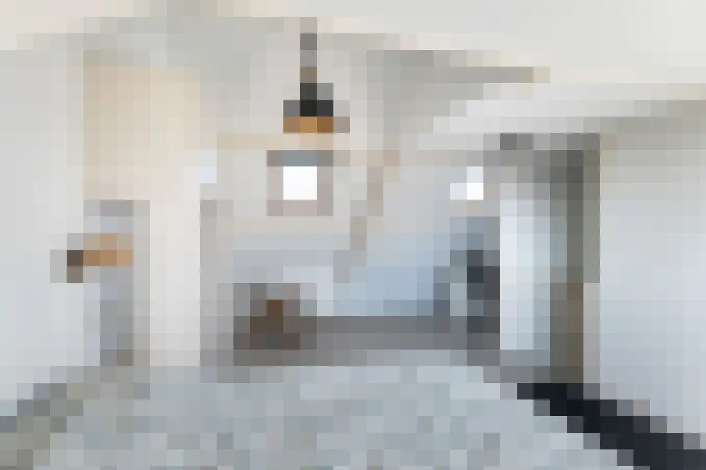 Tulpstraat 7 Woerden thumbnail 49