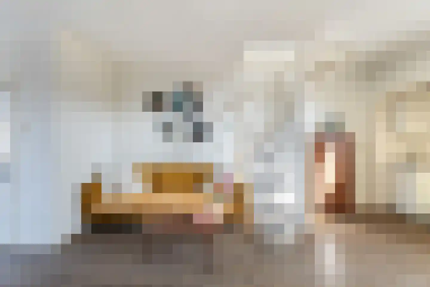 Tulpstraat 7 Woerden thumbnail 7