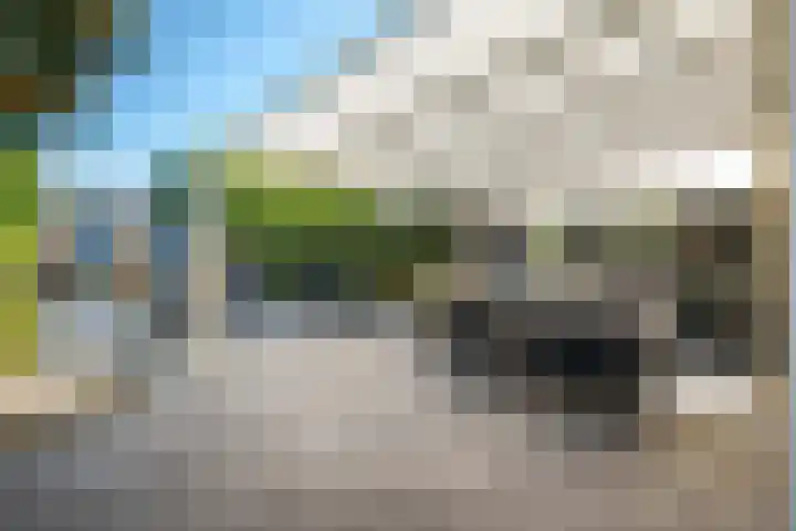 Tulpstraat 77 Winschoten thumbnail 26