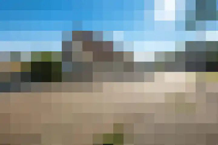 Tulpstraat 77 Winschoten thumbnail 30