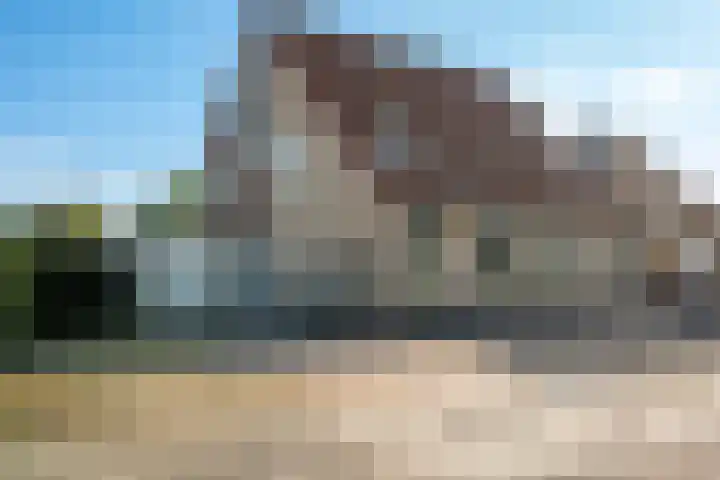 Tulpstraat 77 Winschoten thumbnail 31