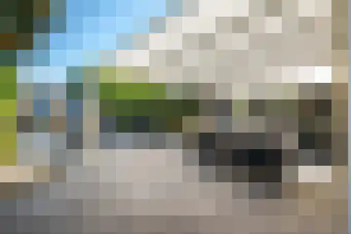 Tulpstraat 77 Winschoten thumbnail 5