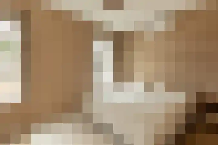 Tulpstraat 8 Hilversum thumbnail 14