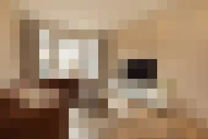 Tulpstraat 8 Hilversum thumbnail 5