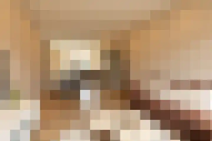 Tulpstraat 8 Hilversum thumbnail 6