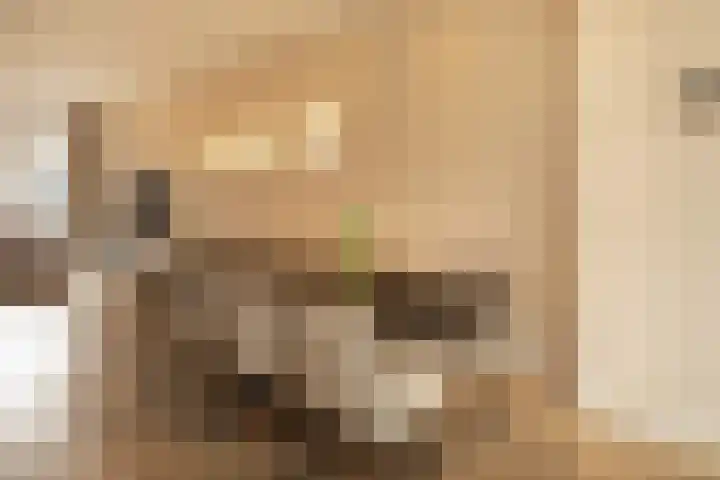 Tulpstraat 8 Hilversum thumbnail 8