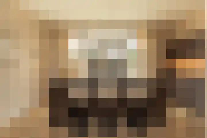Tulpstraat 8 Hilversum thumbnail 9