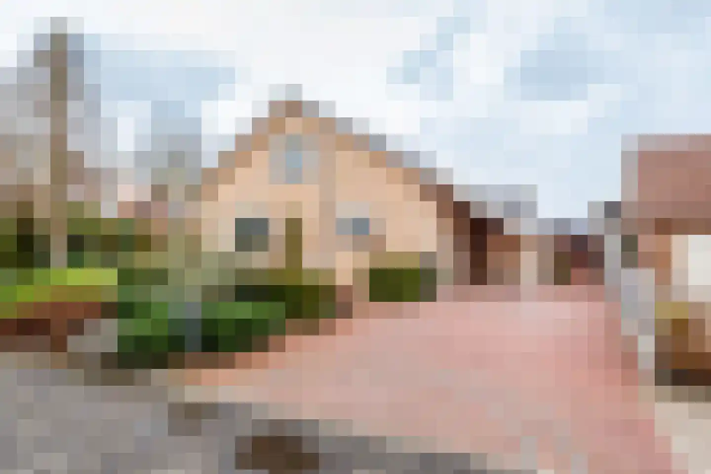 Tulpstraat 9 en Gendringen