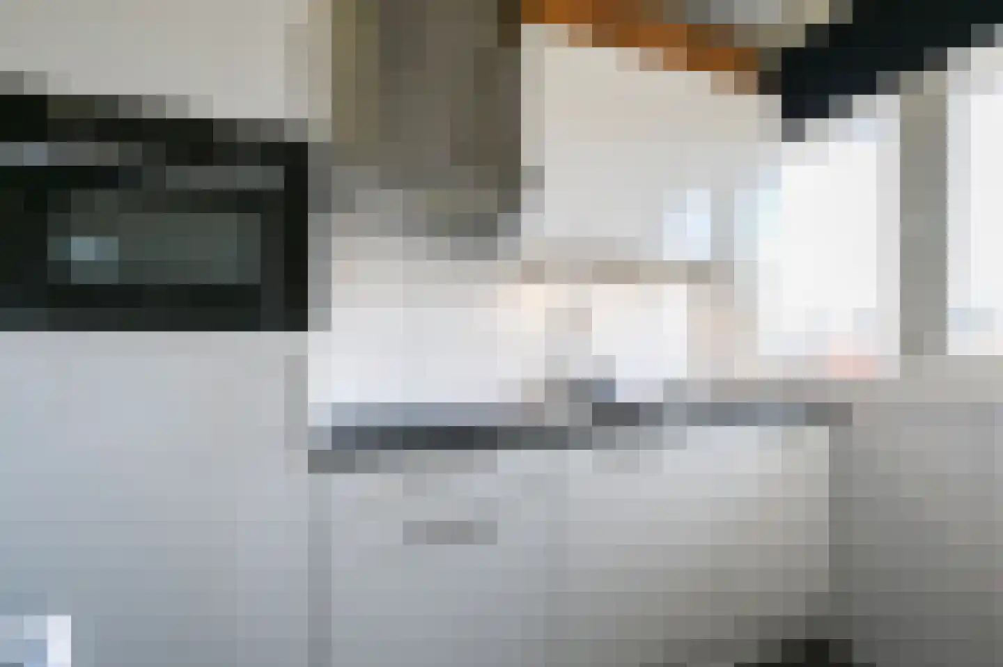 Tulpstraat 9 e Rijswijk thumbnail 17