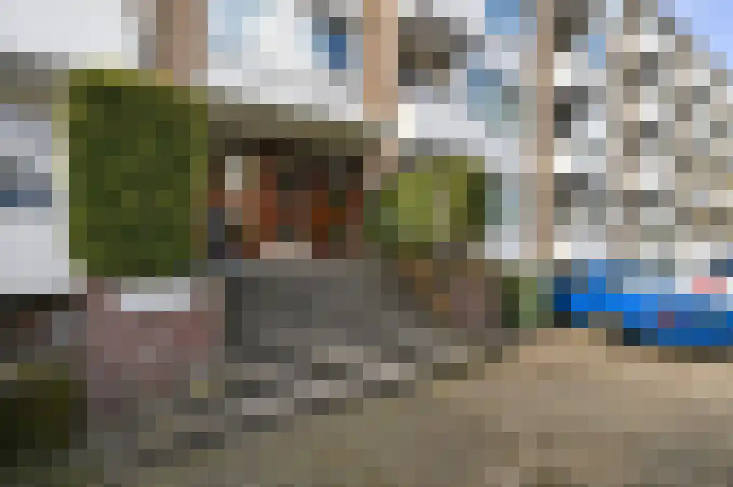 Tulpstraat 9 e Rijswijk thumbnail 5