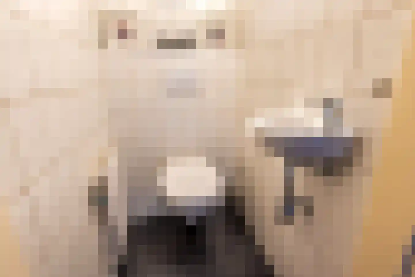 Tulpstraat 9 Gendringen thumbnail 12