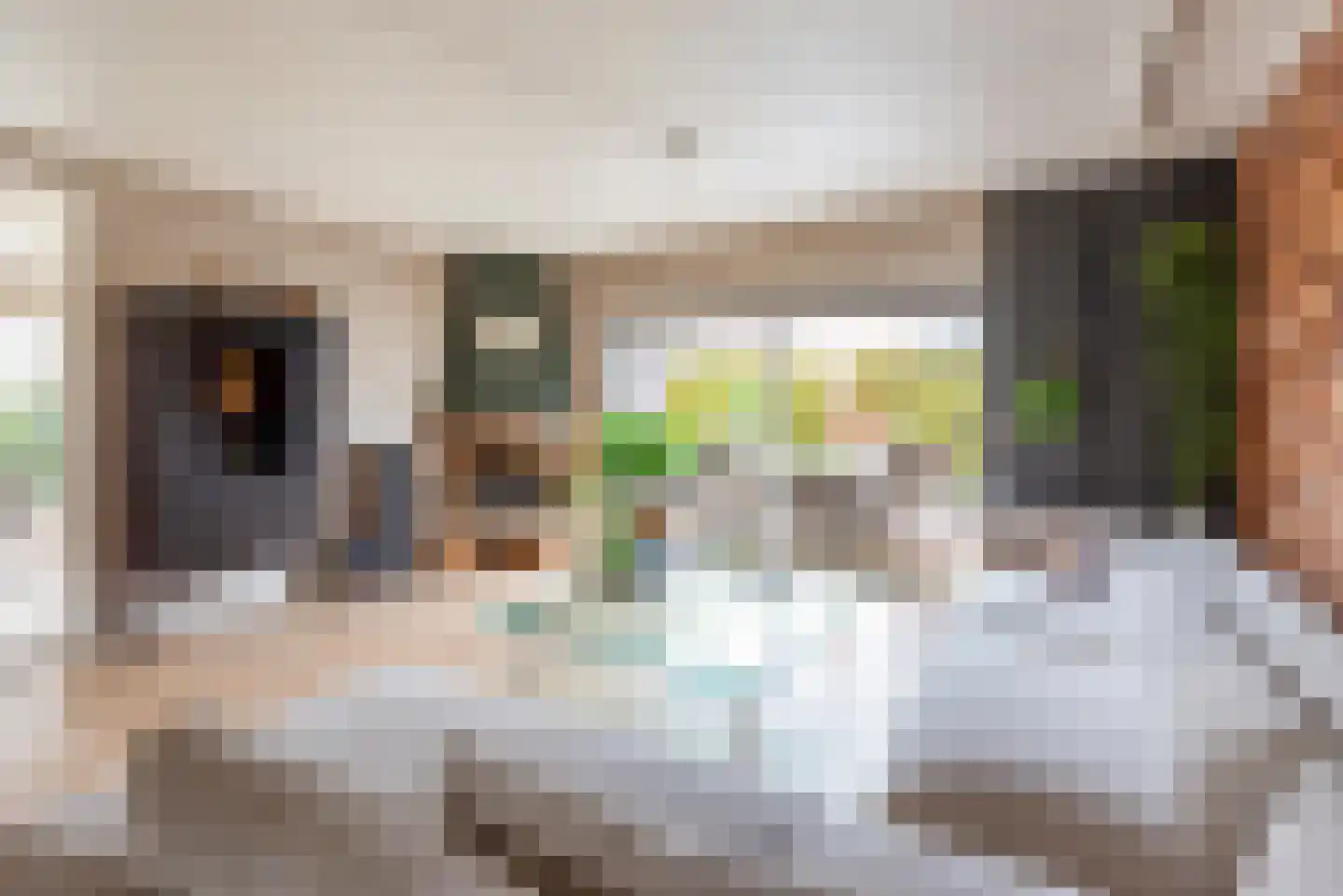 Tulpstraat 9 Gendringen thumbnail 14
