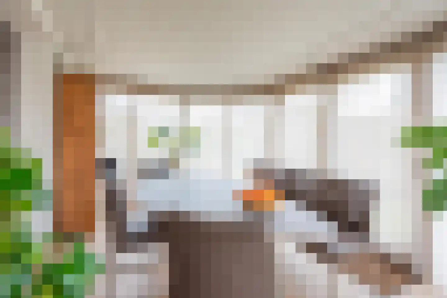 Tulpstraat 9 Gendringen thumbnail 16