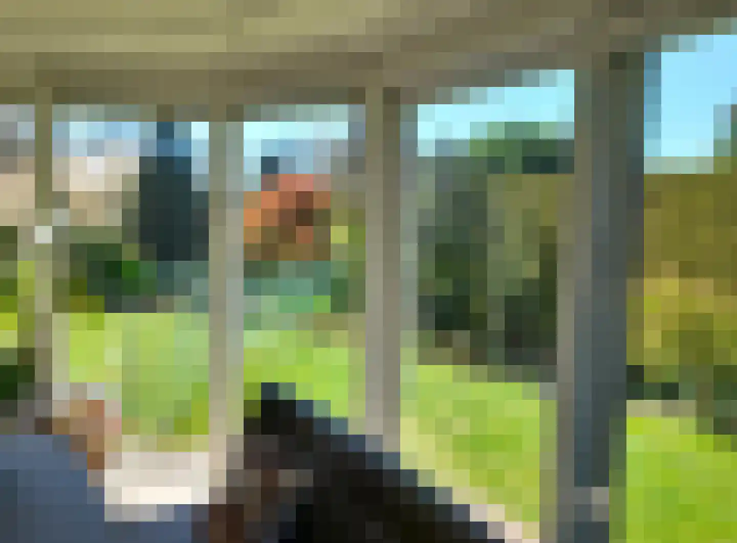 Tulpstraat 9 Gendringen thumbnail 17