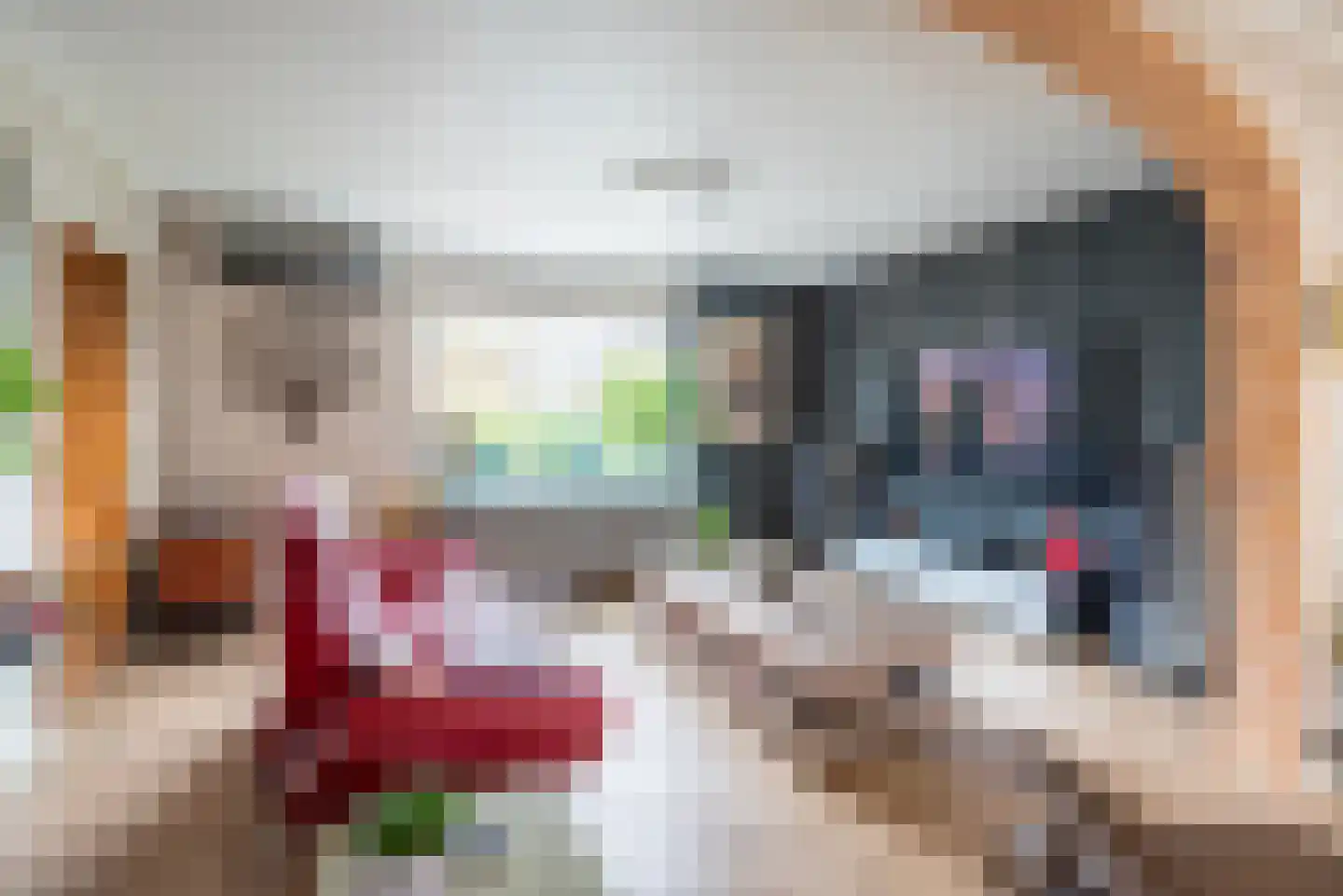 Tulpstraat 9 Gendringen thumbnail 19