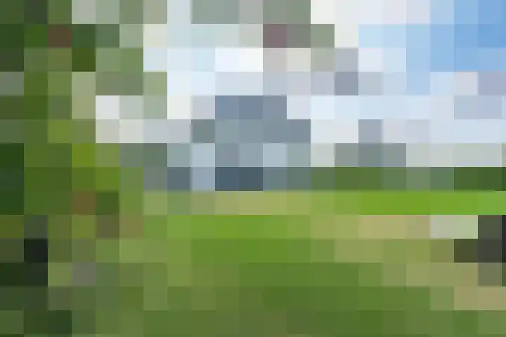 Tulpstraat 9 Gendringen thumbnail 32