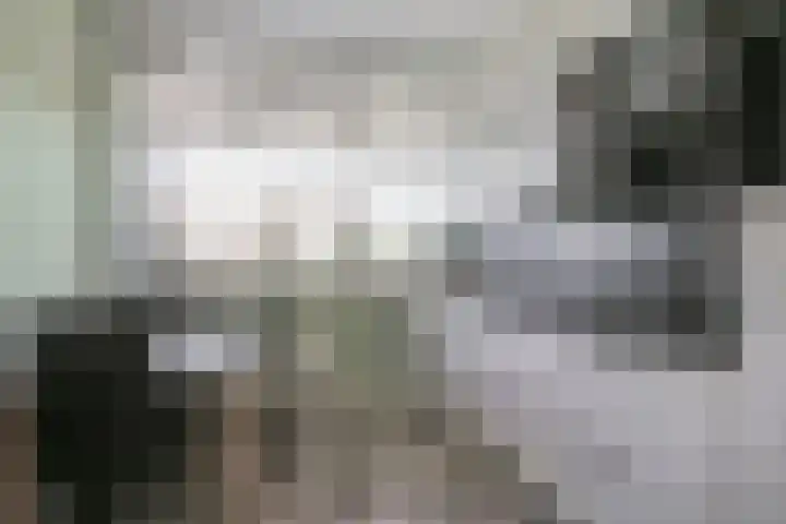 Tulpstraat 9 Gendringen thumbnail 33