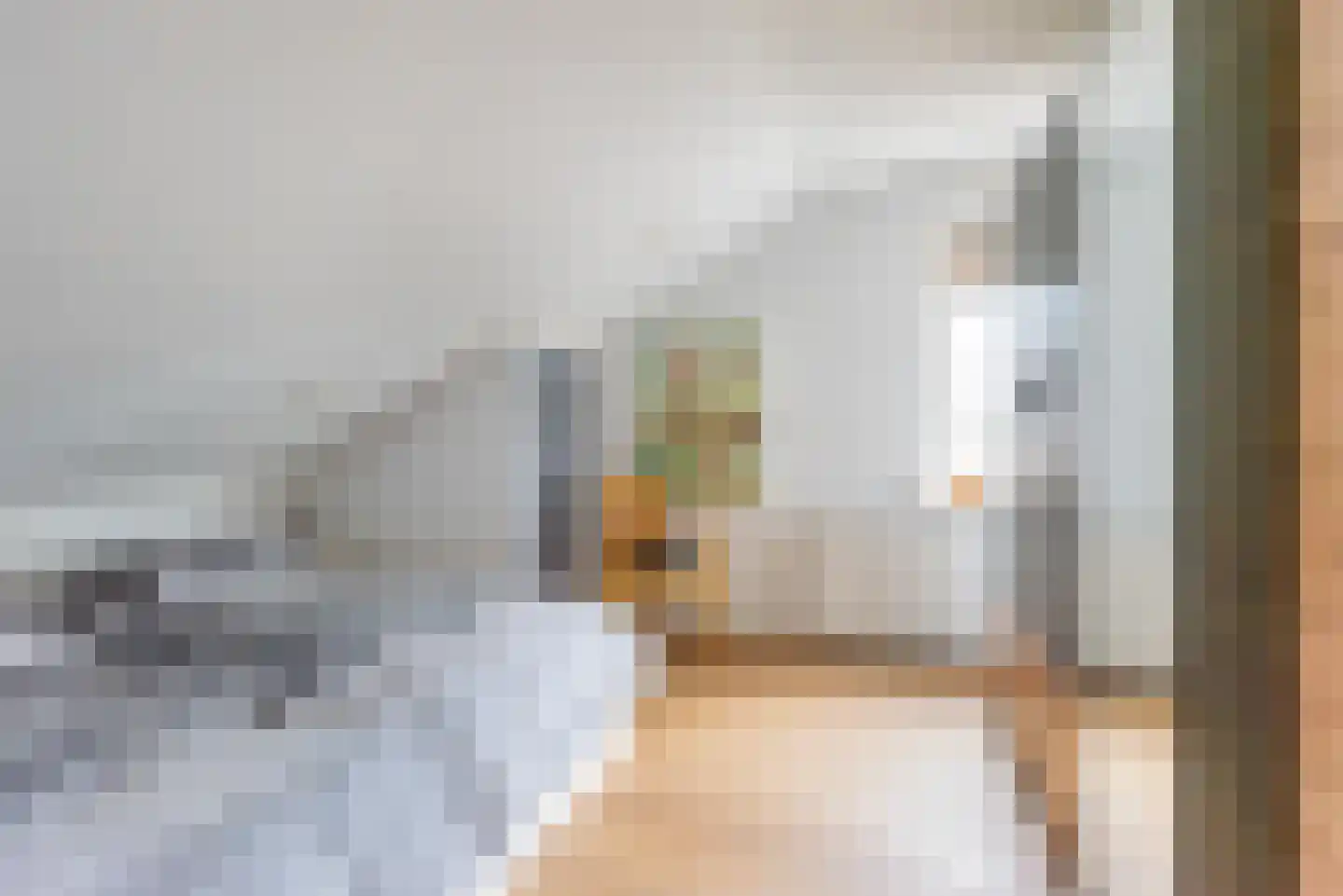 Tulpstraat 9 Gendringen thumbnail 38