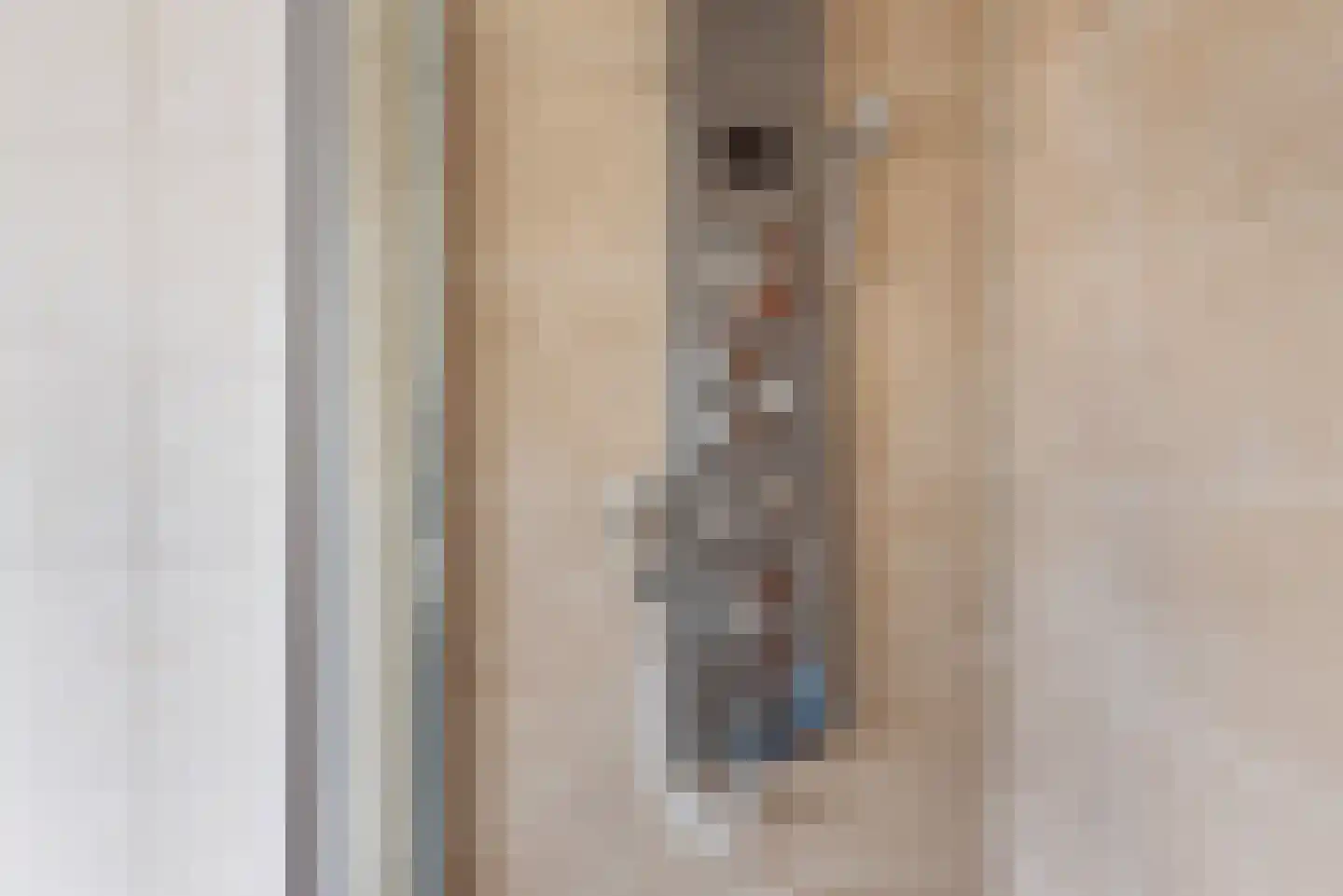 Tulpstraat 9 Gendringen thumbnail 42