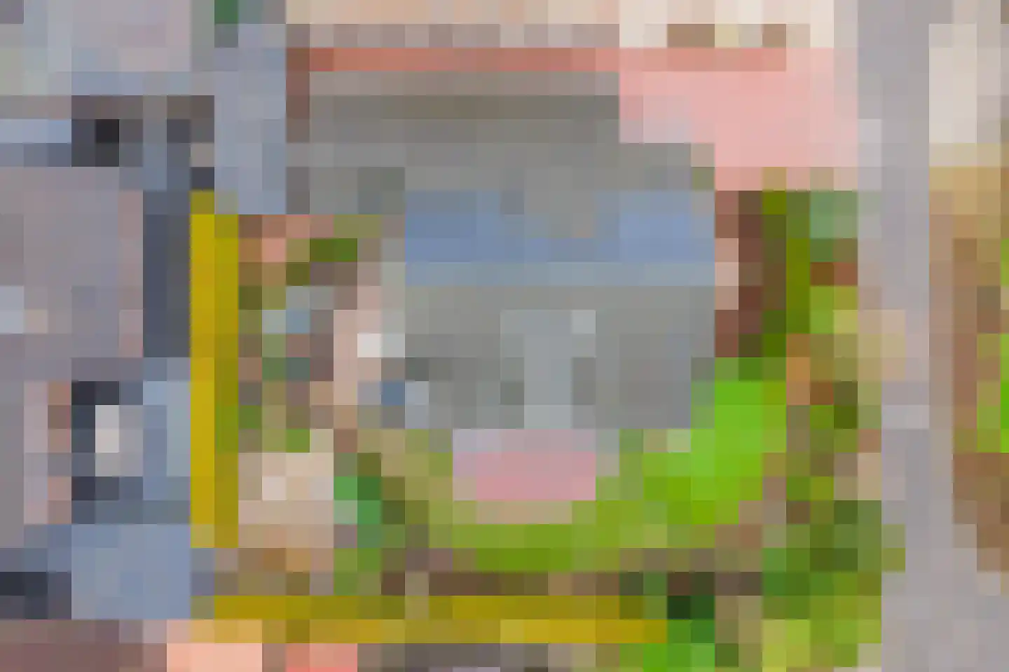 Tulpstraat 9 Gendringen thumbnail 45