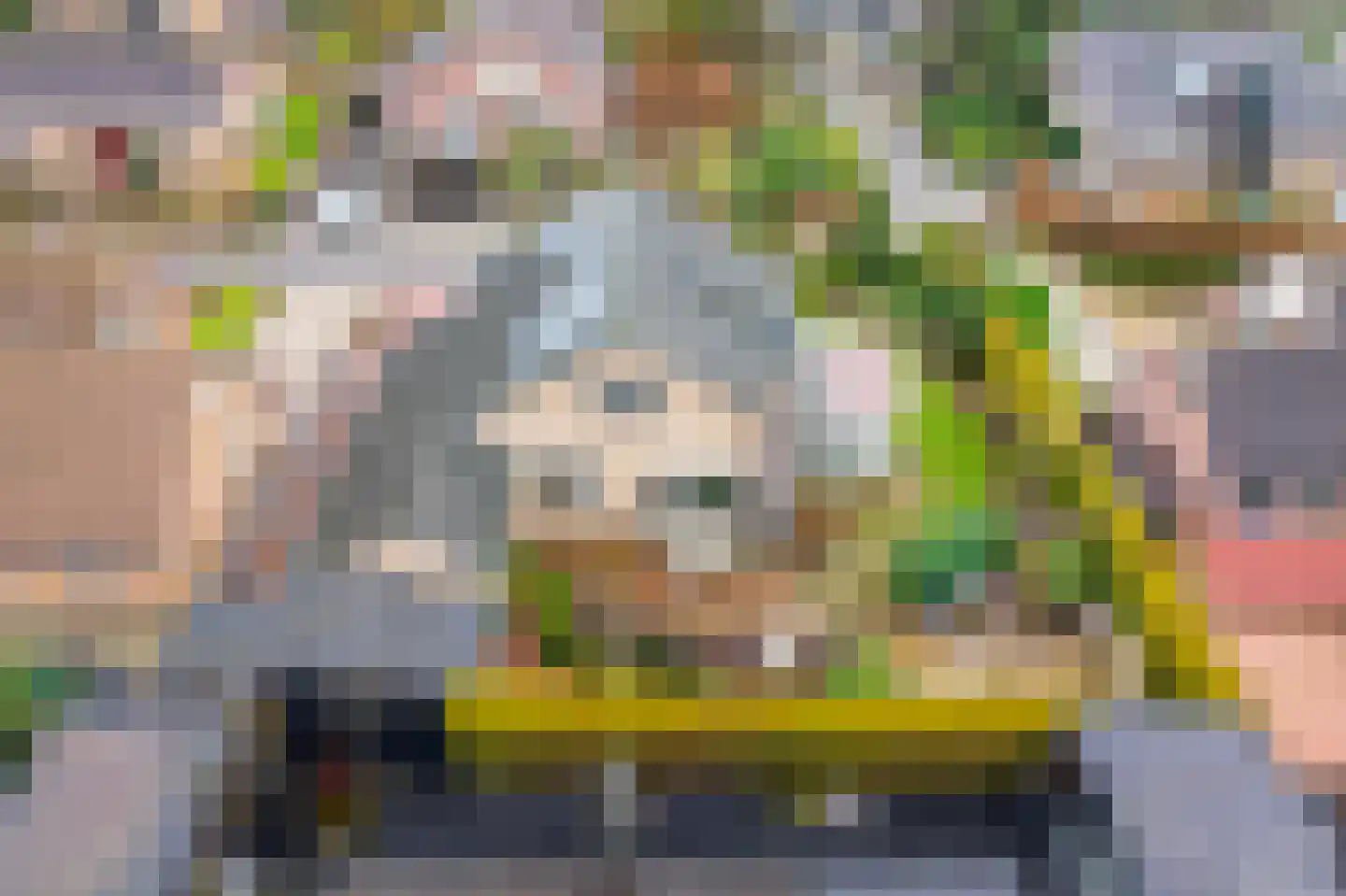 Tulpstraat 9 Gendringen thumbnail 46