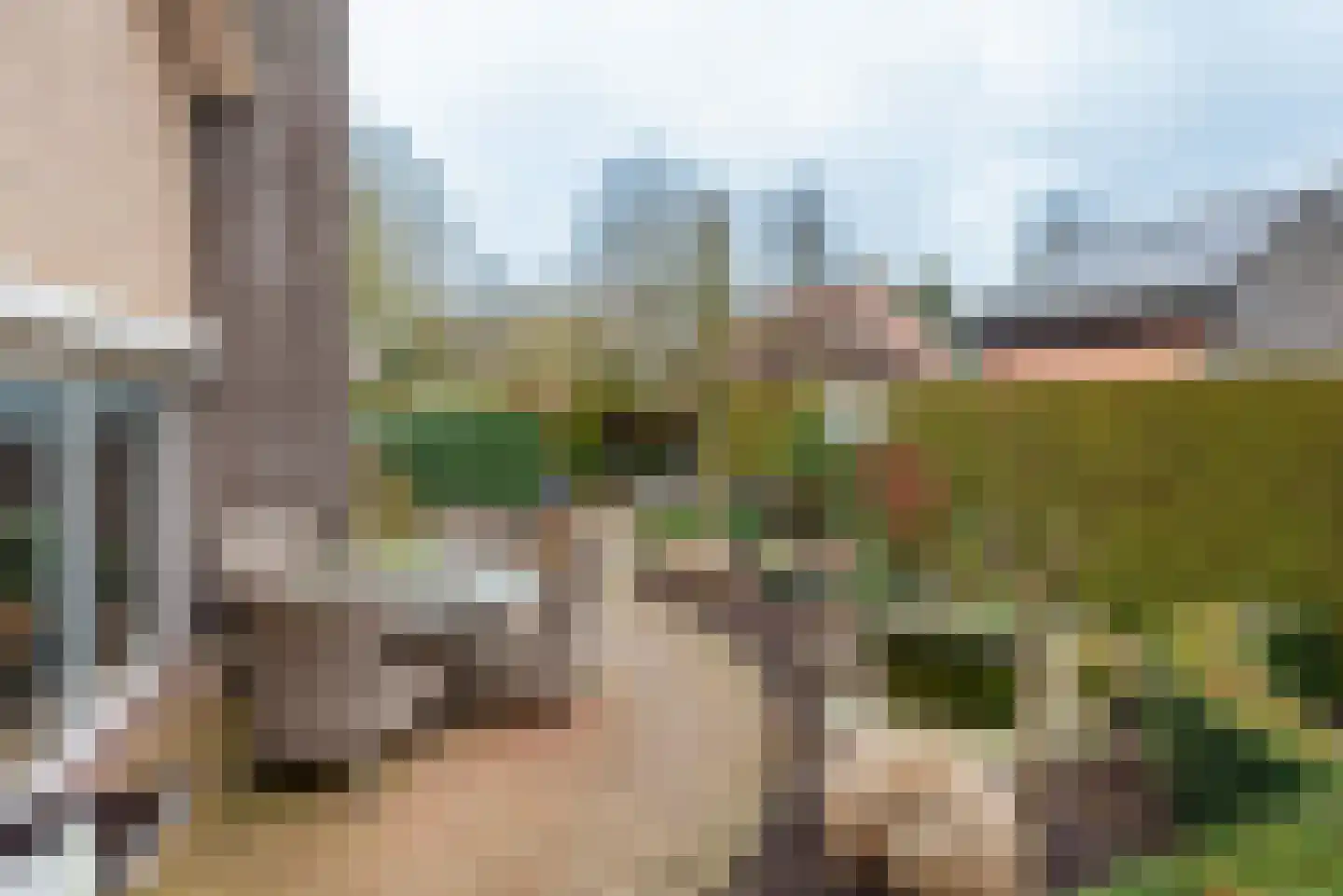 Tulpstraat 9 Gendringen thumbnail 48