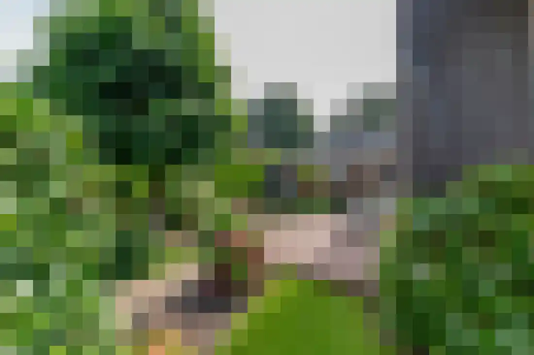 Tulpstraat 9 Gendringen thumbnail 50