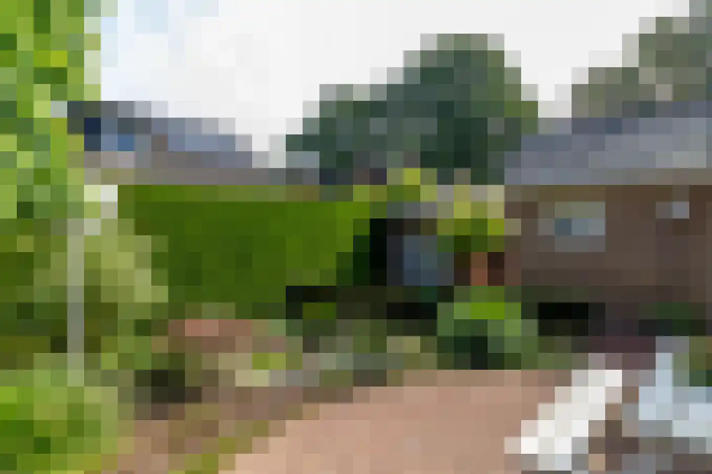 Tulpstraat 9 Gendringen thumbnail 57