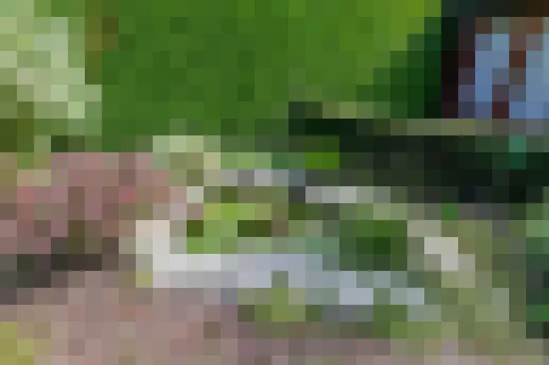 Tulpstraat 9 Gendringen thumbnail 58