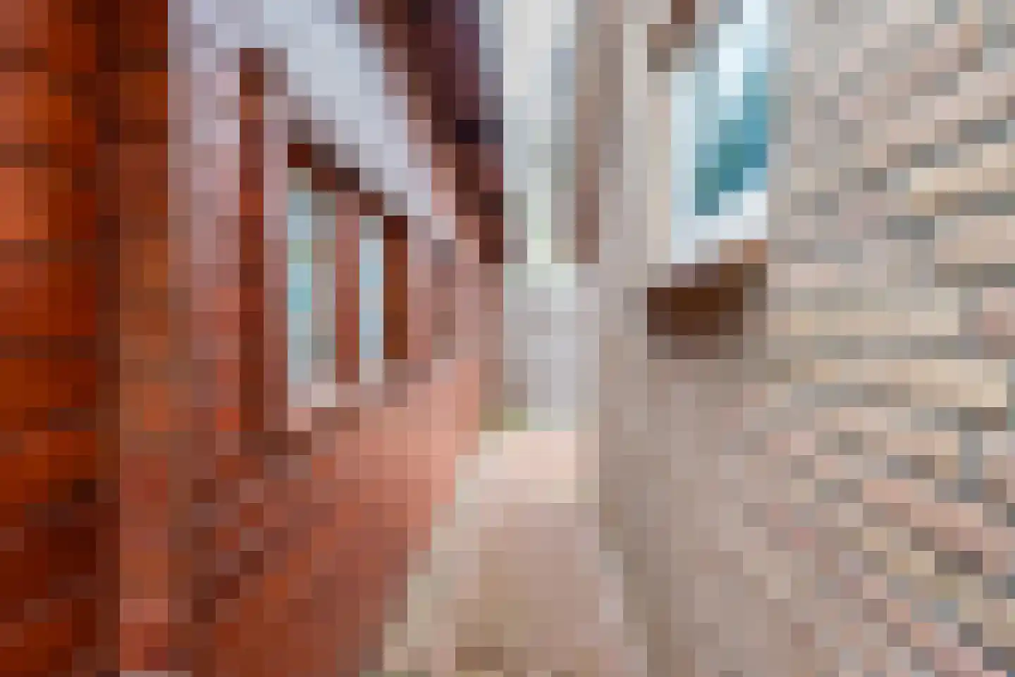 Tulpstraat 9 Gendringen thumbnail 59