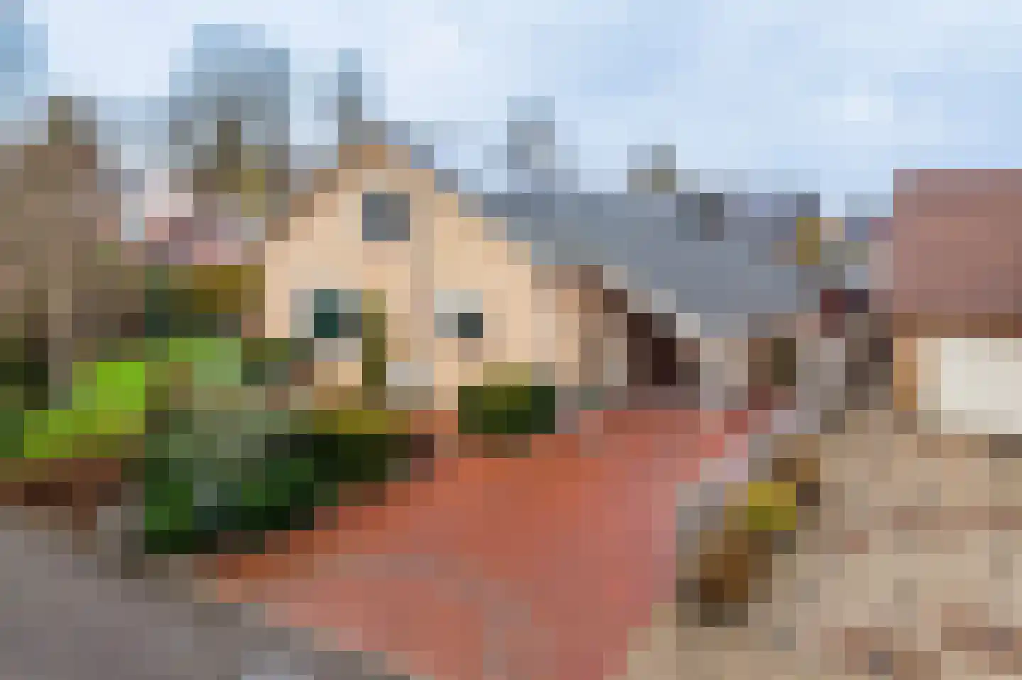 Tulpstraat 9 Gendringen thumbnail 6