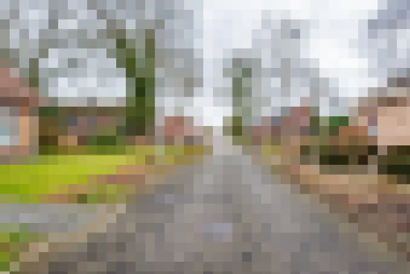 Tulpstraat 9 Gendringen thumbnail 61
