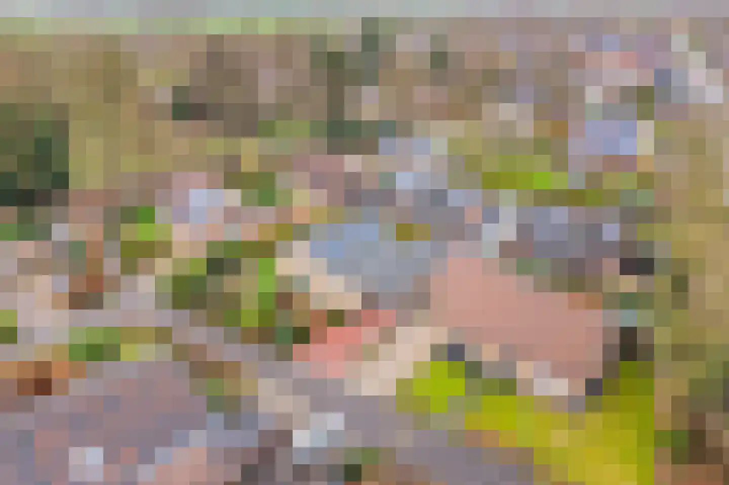 Tulpstraat 9 Gendringen thumbnail 63